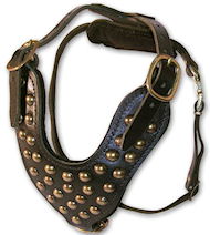 Dog Harness with Gold Colored Studs | Leather Harness