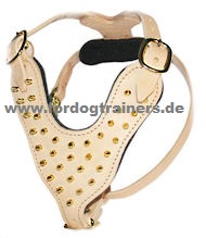 Designer Harness | Dog Harness with Brass Studs and Spikes