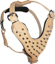 Luxurious Tan Dog Harness | Padded Harness with Nickel Spikes