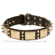 Gorgeous Studded Dog Collar