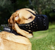 Bestseller Hundemaulkorb Leder für Labrador | Retriever Hetzmaulkorb ➎