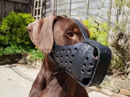 Closed Dog Muzzle for dobermann