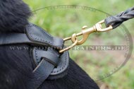 Comfortable Leather Harness for Mountain Dog