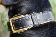 Mountain Dog Nappa padded Dog Collar | Leather Dog Collar