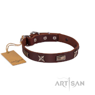 Hundehalsband Braun Leder mit Sternen Nieten Design ❺ ❺ ❺