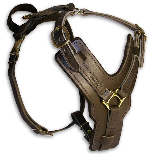 handmade leather dog harness