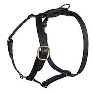 Leather Dog Harness | Luxury Design Harness for Activities