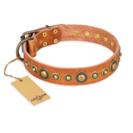Luxuriös FDT Artisan Halsband aus Leder "Feast of Luxury" Luxuriös FDT Artisan Halsband aus Leder "Feast of Luxury"