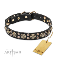 Precious Leather Dog Collar with Star Studs of brass, 30 mm
