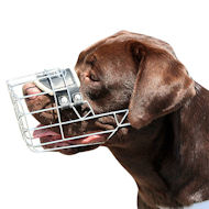 New Design Wire Dog Muzzle for Labrador