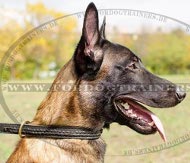 Herrliches Erziehungshalsband für Malinois mit 2 Lederschichten Herrliches Erziehungshalsband für Malinois mit 2 Lederschichten