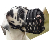 Dog Muzzle of Leather for Great Dane