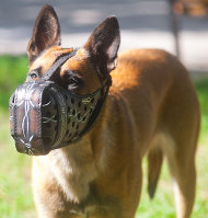 Maulkorb Leder für Malinois Stoßarbeit mit
Stacheldraht Design