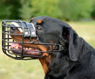 gummierter hundemaulkorb rottweiler
kaufen 