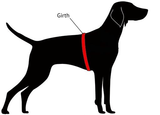Dog Girth Sizing Diagram