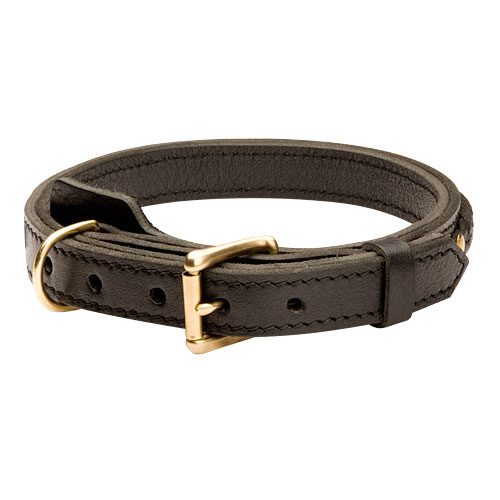 leather dog collar