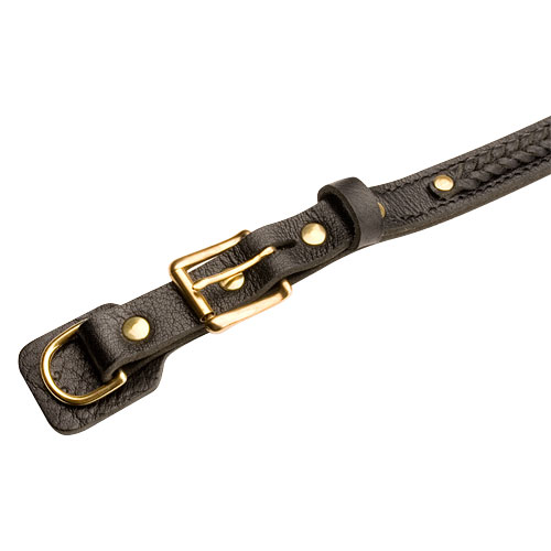 Brass Parts Dog Collar 