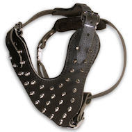 Dog Harness with Spikes | Best Leather Dog Harness for Dogs