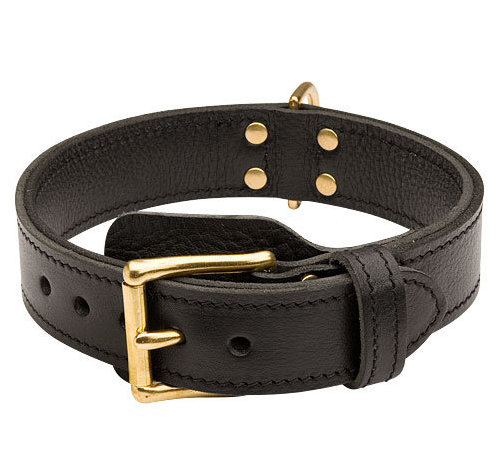 Hundehalsband leder für Training, Hundetraining Halsband Hund