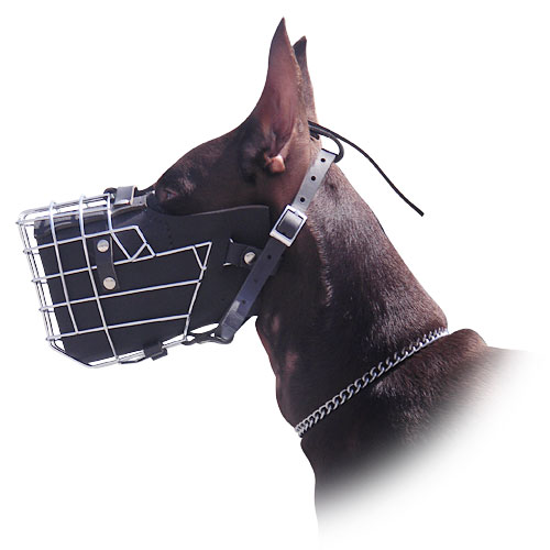 Wire dog muzzle for Doberman