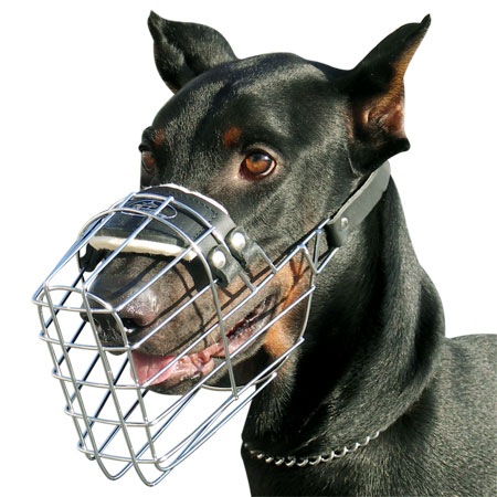 New wire dog muzzle perfect for Doberman - Click Image to Close