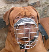 Best Wire Dog Muzzle for Dogue De Bordeaux