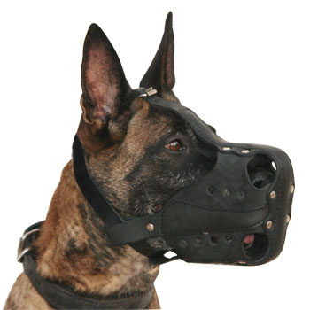 Malinois Maulkorb