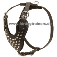 Studded Harness with Pyramids|Dog Harness Top Quality