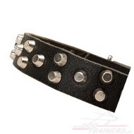 Studded Collar made of Leather with Pyramids