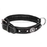 Luxurious Dog Collar with Leather Braids