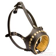 Royal Leather Dog Muzzle padded and studded