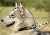 Alaskan Malamute Halsband aus Nylon mit Logos