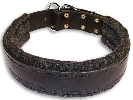 Leather Collar, Padded