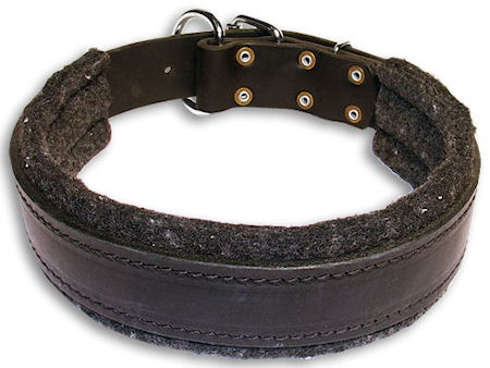 Hundehalsband Leder