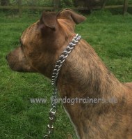 Pitbull Terrier Herm Sprenger
Kette-Halsband