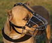 Wire Basket Dog Muzzle for Pitbull