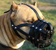 Pitbull dog muzzle leather with nose padding