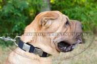 Shar Pei Halsband aus Nylon | Nylonhalsband mit Silber-Platten