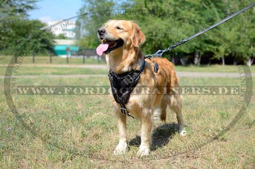 K9 dog harness for Retriever