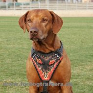 Rhodesian
Ridgeback Geschirr mit Flamme |
Hundegeschirr Leder