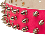 /images/Rosa-Halsband-Leder-Breit.jpg
