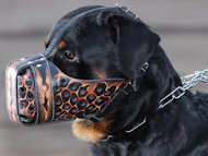 Buy painted
rottweiler muzzle