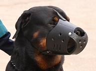 maulkorb stoßarbeit für rottweiler kaufen