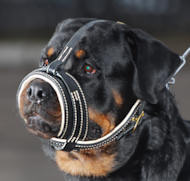 maulkorb gegen bellen nappa gepolstert rottweiler