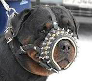 leather muzzle against barking Rottweiler Luxury