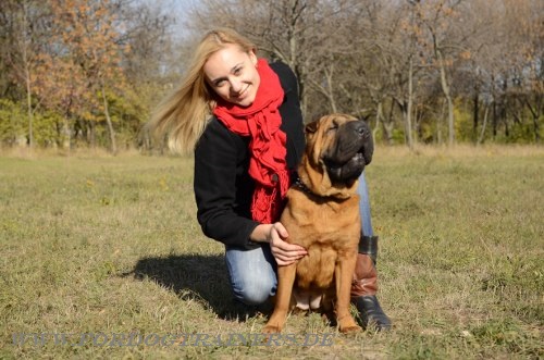 Zubehör für den Hund vom Hersteller kaufen