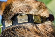 German Shepherd studded collar with retro style