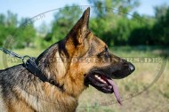 Genietetes Hundehalsband für Deutschen Schäferhund