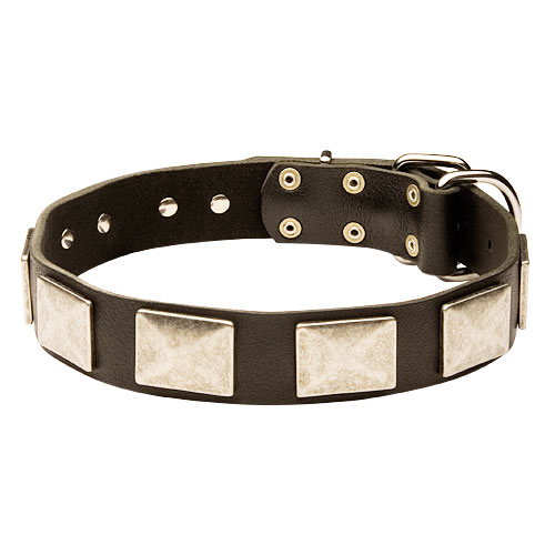 Leather Dog Collar for German Shepherd, De