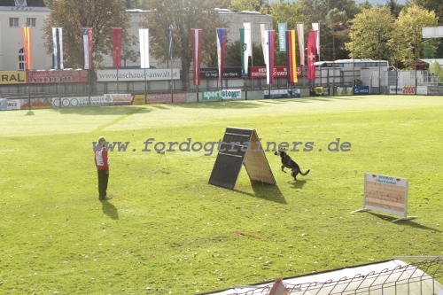 Schutzhund - Professionelles Hundesport 